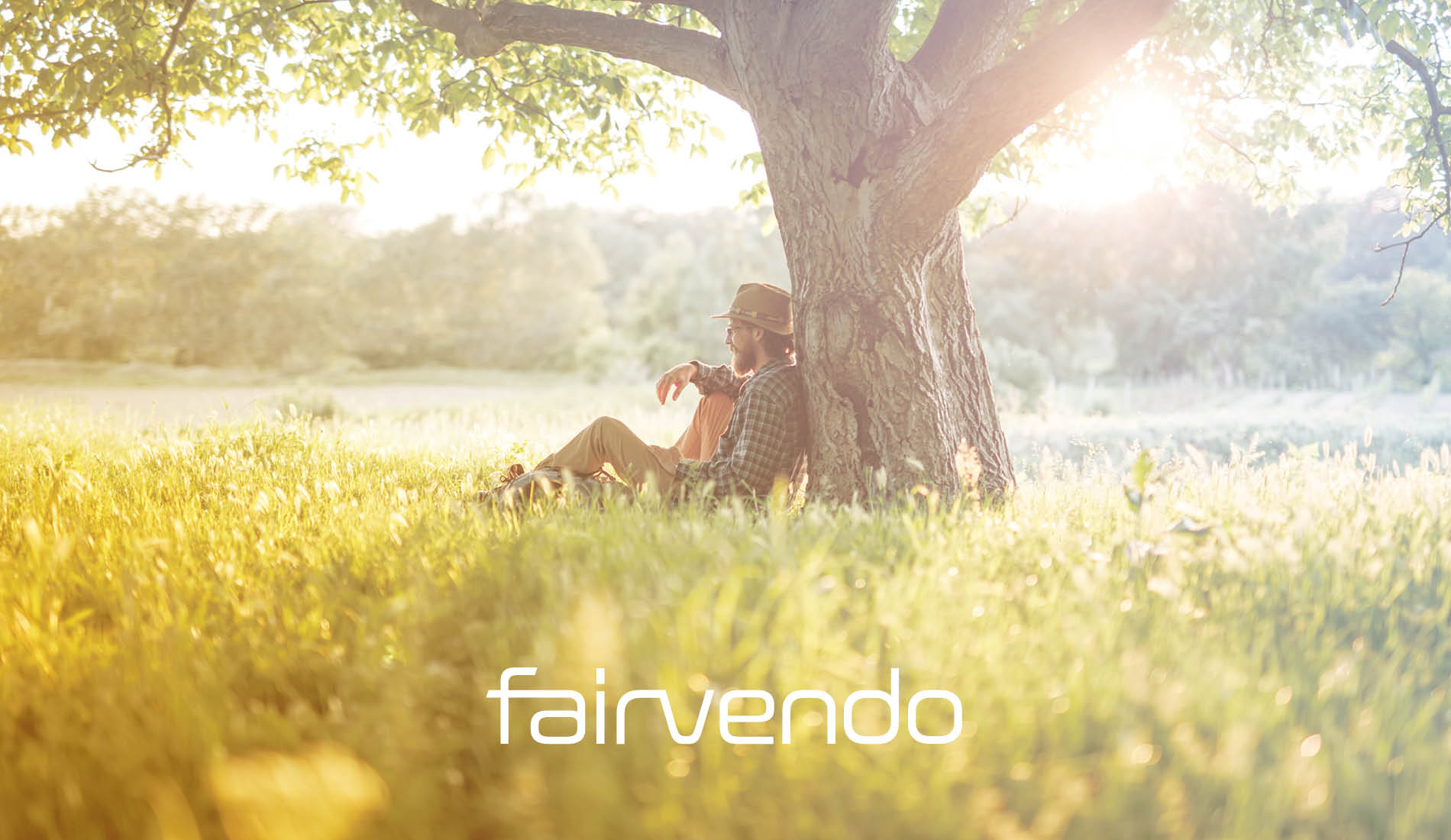 Mann sitzt entspannt unter einem Baum in der Sonne – Naturmotiv als Keyvisual im Corporate Design von Fairvendo.